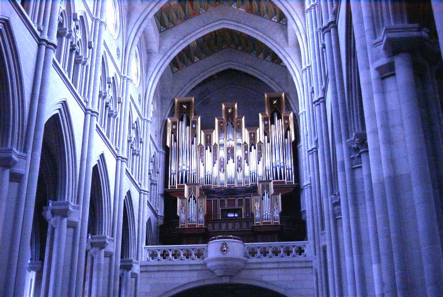 The organ