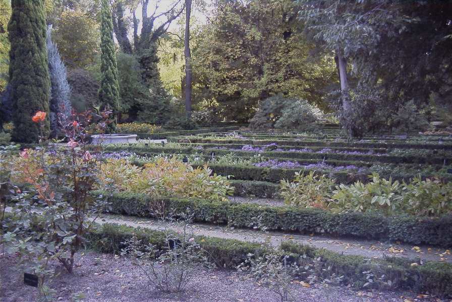 The Botanical Garden