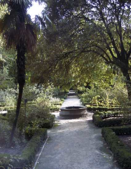 Path through the garden