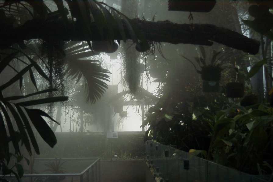 The mist greenhouse