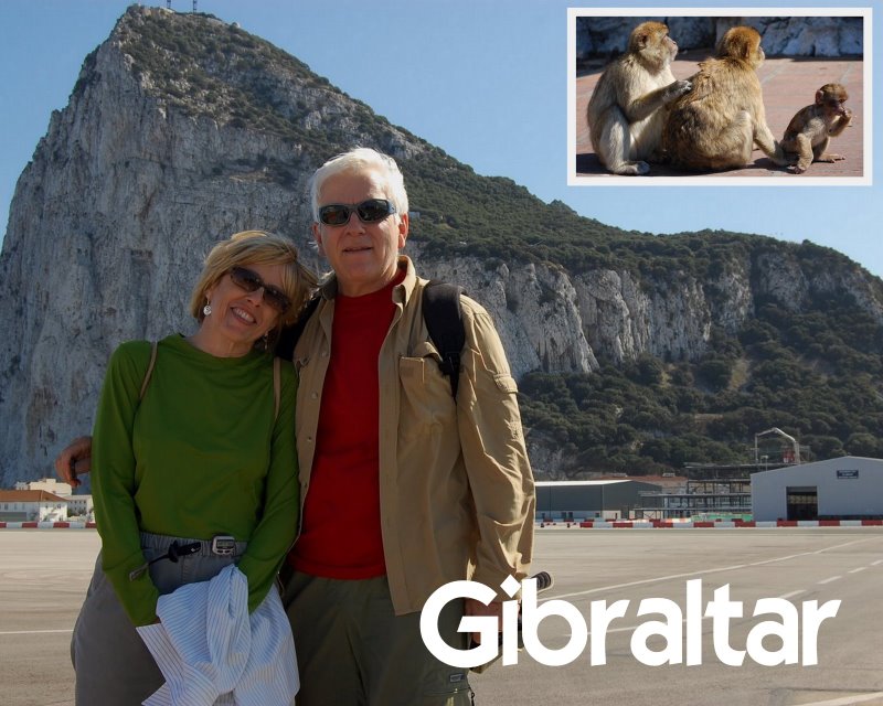 The monkeys of Gibraltar